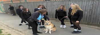 H&S Care Guide Dog 1